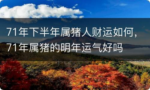 71年下半年属猪人财运如何，71年属猪的明年运气好吗