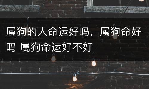 属狗的人命运好吗，属狗命好吗 属狗命运好不好