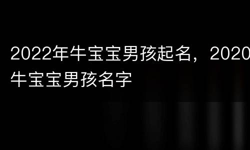 2022年牛宝宝男孩起名，2020牛宝宝男孩名字