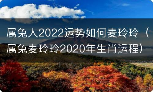 属兔人2022运势如何麦玲玲（属兔麦玲玲2020年生肖运程）