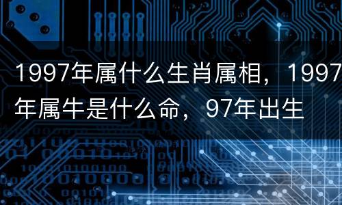 1997年属什么生肖属相，1997年属牛是什么命，97年出生