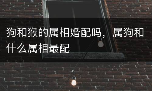狗和猴的属相婚配吗，属狗和什么属相最配