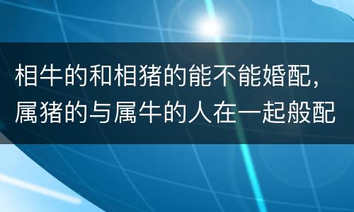 相牛的和相猪的能不能婚配，属猪的与属牛的人在一起般配吗？
