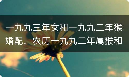 一九九三年女和一九九二年猴婚配，农历一九九二年属猴和一九九三年属鸡能配
