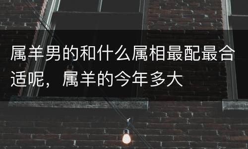属羊男的和什么属相最配最合适呢，属羊的今年多大