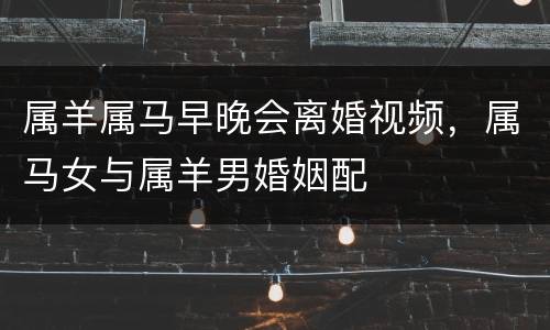 属羊属马早晚会离婚视频，属马女与属羊男婚姻配