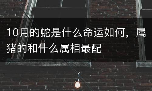 10月的蛇是什么命运如何，属猪的和什么属相最配