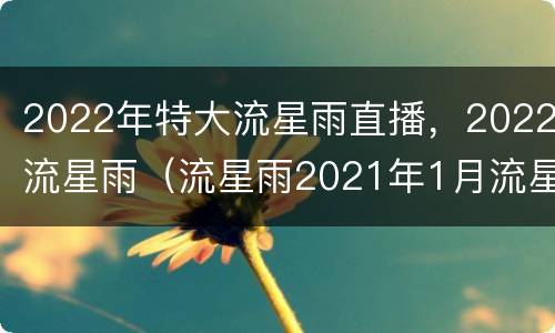 2022年特大流星雨直播，2022流星雨（流星雨2021年1月流星雨央视直播）