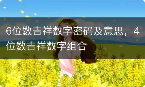6位数吉祥数字密码及意思，4位数吉祥数字组合