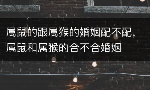属鼠的跟属猴的婚姻配不配，属鼠和属猴的合不合婚姻