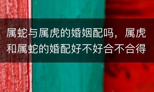 属蛇与属虎的婚姻配吗，属虎和属蛇的婚配好不好合不合得来