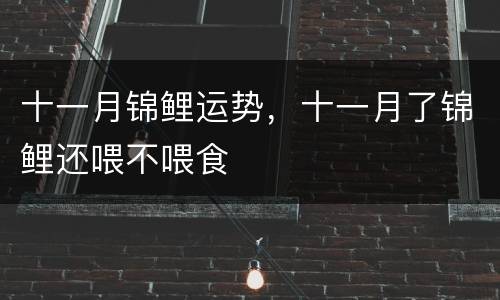 十一月锦鲤运势，十一月了锦鲤还喂不喂食