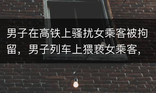 男子在高铁上骚扰女乘客被拘留，男子列车上猥亵女乘客，被拘留5日，这些人