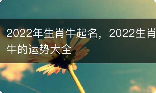 2022年生肖牛起名，2022生肖牛的运势大全