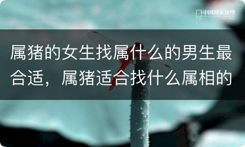 属猪的女生找属什么的男生最合适，属猪适合找什么属相的对象