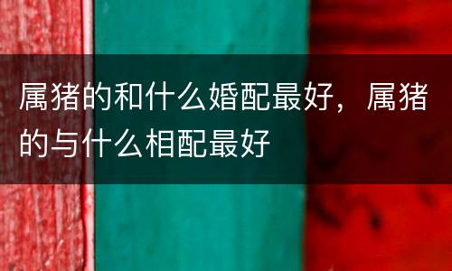 属猪的和什么婚配最好，属猪的与什么相配最好