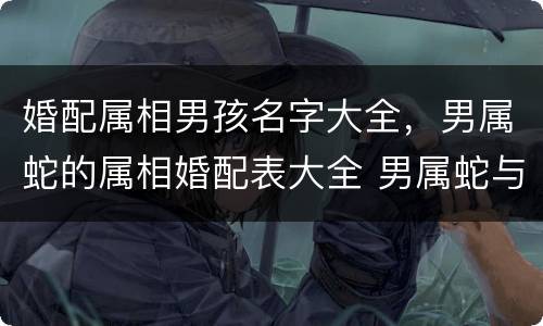 婚配属相男孩名字大全，男属蛇的属相婚配表大全 男属蛇与什么属相般配