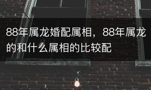 88年属龙婚配属相，88年属龙的和什么属相的比较配