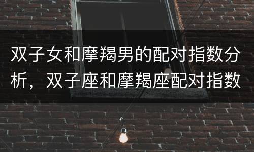 双子女和摩羯男的配对指数分析，双子座和摩羯座配对指数