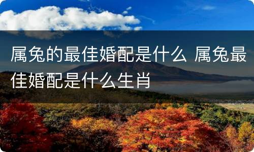 属兔的最佳婚配是什么 属兔最佳婚配是什么生肖