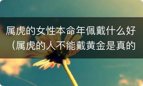 属虎的女性本命年佩戴什么好（属虎的人不能戴黄金是真的吗）