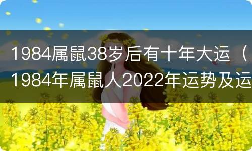 1984属鼠38岁后有十年大运（1984年属鼠人2022年运势及运程）