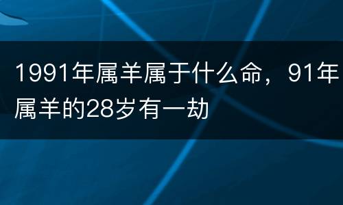 1991年属羊属于什么命，91年属羊的28岁有一劫