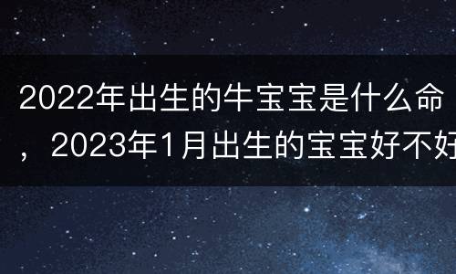 2022年出生的牛宝宝是什么命，2023年1月出生的宝宝好不好