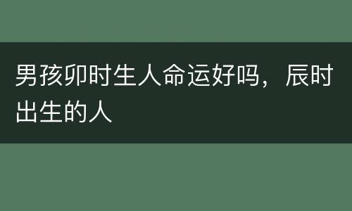 男孩卯时生人命运好吗，辰时出生的人