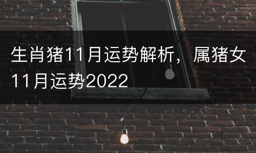 生肖猪11月运势解析，属猪女11月运势2022