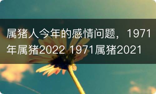 属猪人今年的感情问题，1971年属猪2022 1971属猪2021