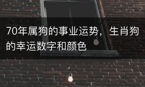 70年属狗的事业运势，生肖狗的幸运数字和颜色