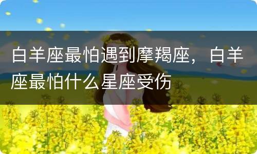 白羊座最怕遇到摩羯座，白羊座最怕什么星座受伤