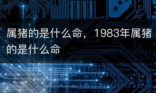 属猪的是什么命，1983年属猪的是什么命
