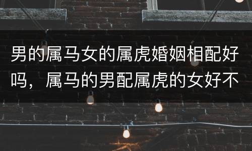 男的属马女的属虎婚姻相配好吗，属马的男配属虎的女好不好