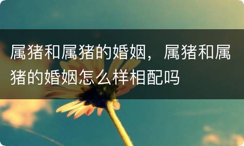 属猪和属猪的婚姻，属猪和属猪的婚姻怎么样相配吗