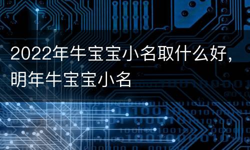 2022年牛宝宝小名取什么好，明年牛宝宝小名