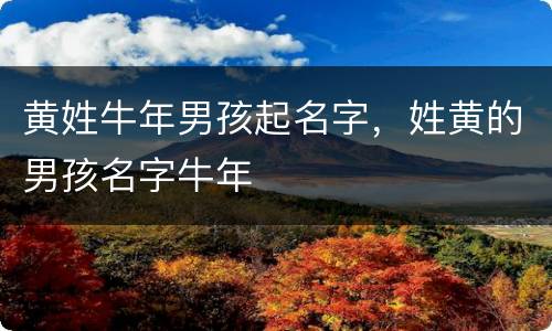 黄姓牛年男孩起名字，姓黄的男孩名字牛年