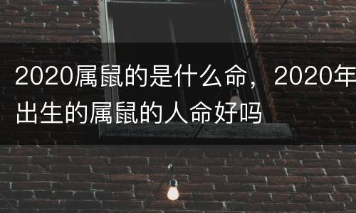 2020属鼠的是什么命，2020年出生的属鼠的人命好吗