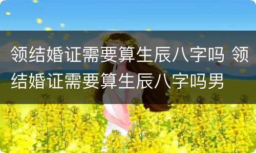 领结婚证需要算生辰八字吗 领结婚证需要算生辰八字吗男