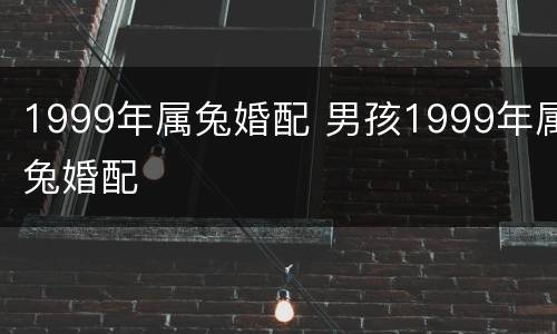 1999年属兔婚配 男孩1999年属兔婚配