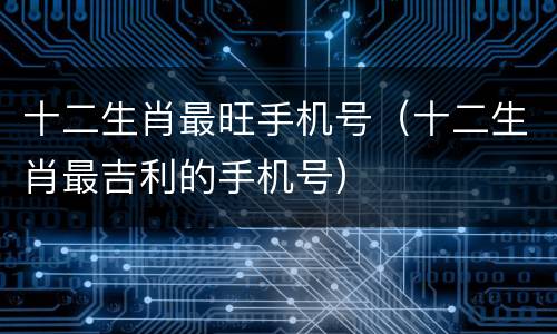 十二生肖最旺手机号（十二生肖最吉利的手机号）