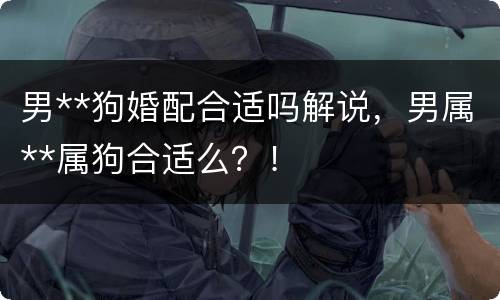 男**狗婚配合适吗解说，男属**属狗合适么？！