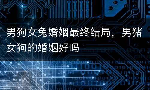 男狗女兔婚姻最终结局，男猪女狗的婚姻好吗