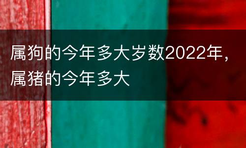 属狗的今年多大岁数2022年，属猪的今年多大
