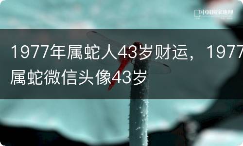 1977年属蛇人43岁财运，1977属蛇微信头像43岁