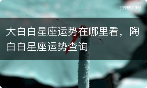 大白白星座运势在哪里看，陶白白星座运势查询