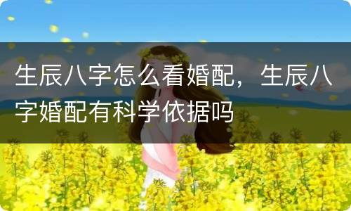 生辰八字怎么看婚配，生辰八字婚配有科学依据吗