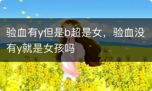 验血有y但是b超是女，验血没有y就是女孩吗