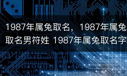 1987年属兔取名，1987年属兔取名男符姓 1987年属兔取名字
